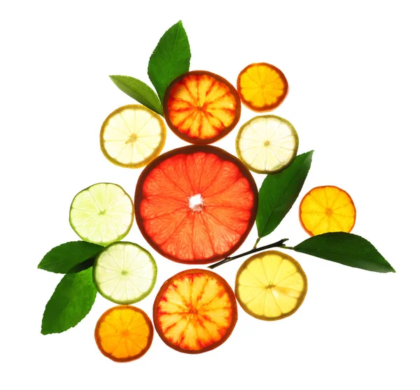 Illuminated slices of citrus fruits and leaves on white background, top view — Stock Photo, Image