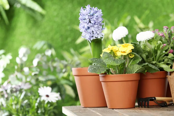 Topfblumen und Gartengeräte auf Holztisch, Platz für Text — Stockfoto