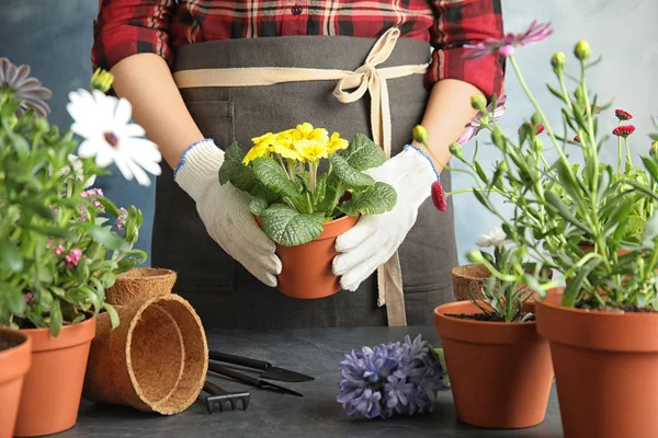 Mujer cuidando de las flores en el interior, primer plano. Jardinería doméstica —  Fotos de Stock