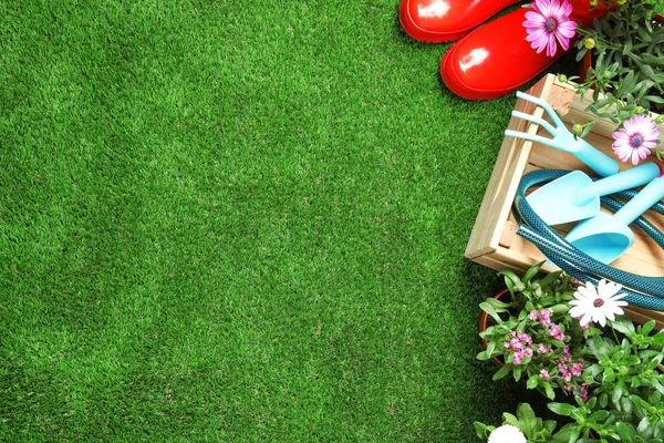 Плоска композиція з обладнанням для садівництва та квітами на зеленій траві, простір для тексту — стокове фото