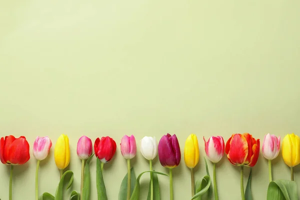 Mooie lente tulpen op kleur achtergrond, Top View. Ruimte voor tekst — Stockfoto