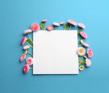 Bahar papatya çiçekleri ve renkli arka plan üzerinde kart ile Düz yatıyordu kompozisyon. Metin için alan