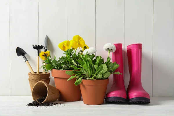 냄비에 꽃과 테이블에 원예 장비 — 스톡 사진