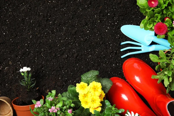 Composição de colocação plana com equipamento de jardinagem e flores no solo, espaço para texto — Fotografia de Stock