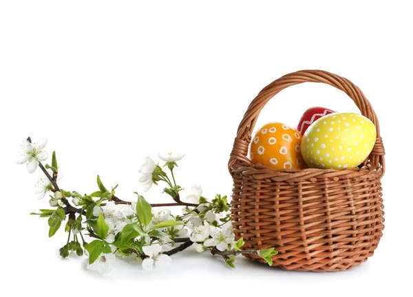 Painted Easter eggs in wicker basket and blossoming branches on white background — Stock Photo, Image
