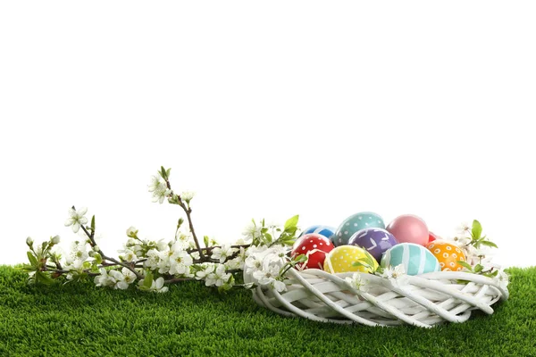 Huevos de Pascua pintados en nido y ramas en flor sobre hierba verde sobre fondo blanco —  Fotos de Stock