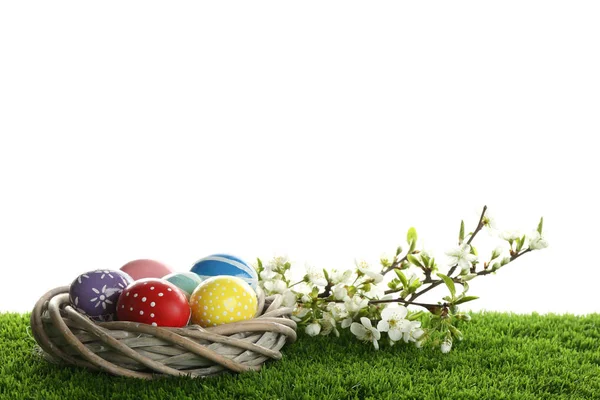 Huevos de Pascua pintados en nido y ramas en flor sobre hierba verde sobre fondo blanco —  Fotos de Stock