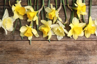 Nergis ve ahşap arka plan üzerinde metin için alan ile Düz yatıyordu kompozisyon. Taze bahar çiçekleri