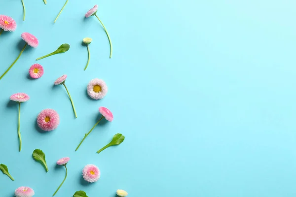 Composición plana con flores de margarita primaveral y espacio para texto sobre fondo de color — Foto de Stock