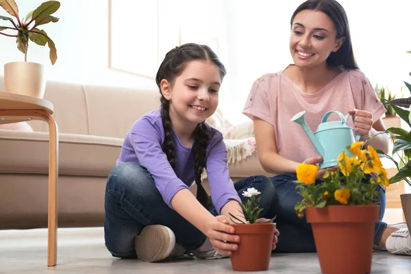 Mor och dotter tar hand om krukväxter på golvet hemma — Stockfoto