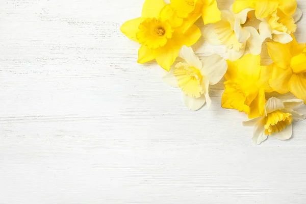 Composizione laica piatta con narcisi e spazio per il testo su sfondo bianco in legno. Fiori freschi primaverili — Foto Stock