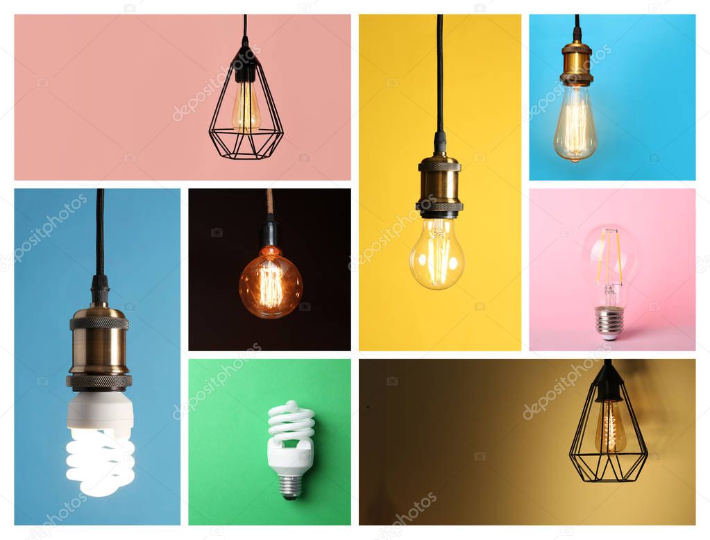 Collage of different lamp bulbs on color background