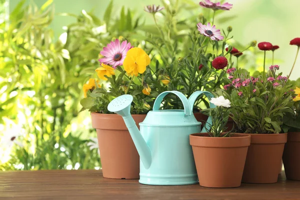 Flores florescentes em vaso e regador em mesa de madeira, espaço para texto. Casa jardinagem — Fotografia de Stock