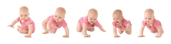 Conjunto de bebê pequeno bonito rastejando no fundo branco — Fotografia de Stock