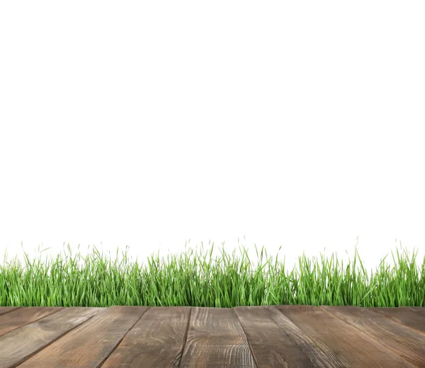 Terasa a čerstvá zelená tráva proti Bílému pozadí — Stock fotografie