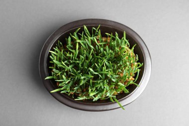 Gri arka plan üzerinde filizlenmiş buğday çim tohumu ile Kase, üst görünümü