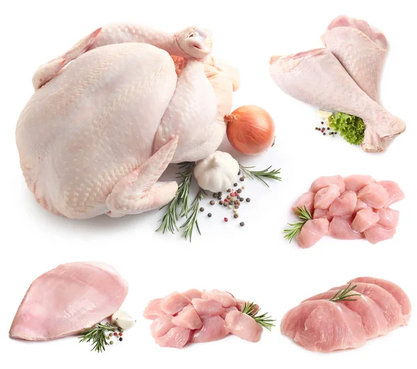 Set of raw turkey on white background — Stock Photo, Image