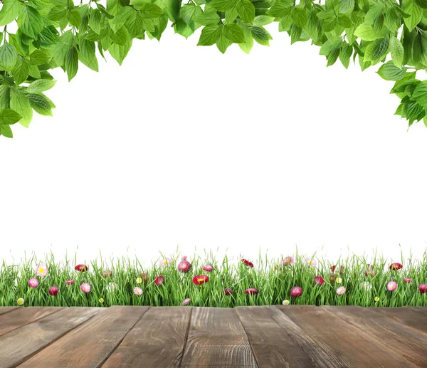 Terrasse und frisches grünes Gras vor weißem Hintergrund — Stockfoto