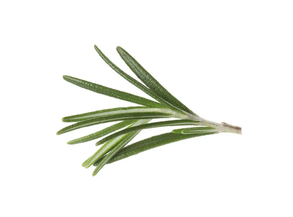 Frische grüne Rosmarinblätter auf weißem Hintergrund — Stockfoto
