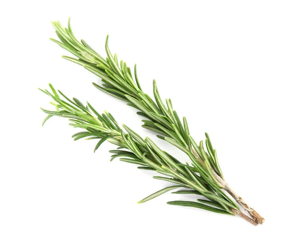 Fresh green rosemary twigs on white background, top view — Stock Photo, Image