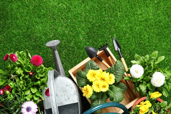 Composição de leigos plana com equipamento de jardinagem e flores na grama verde — Fotografia de Stock