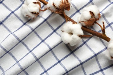 Kumaş üzerinde pamuklu çiçekler ile Dal, yukarıdan görünümü. Metin için alan