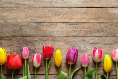 Güzel lale ve ahşap arka plan, üst görünümü metin için alan. Bahar çiçekleri