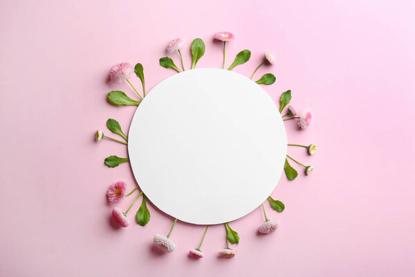 Flat lay composition with blooming daisies and space for text on white background. Spring flowers