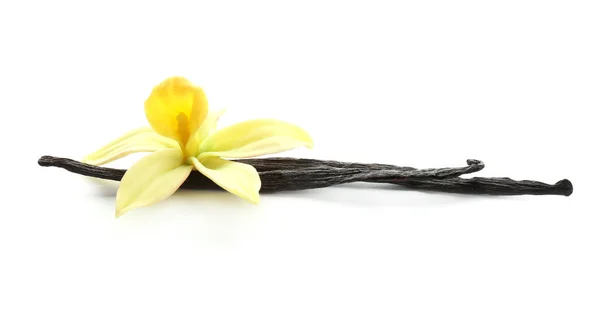 Αρωματικά ξυλάκια βανίλιας και λουλούδι σε λευκό φόντο — Φωτογραφία Αρχείου