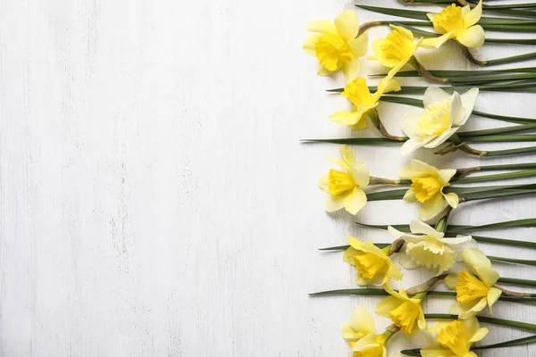 Composição plana com narcisos e espaço para texto sobre fundo de madeira branca. Flores frescas da primavera — Fotografia de Stock