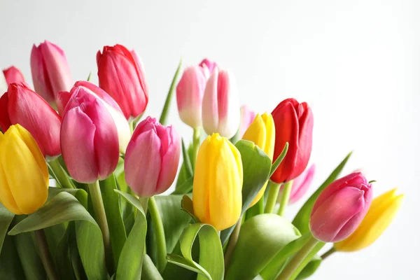 Hermoso ramo de flores de tulipán brillante sobre fondo blanco — Foto de Stock