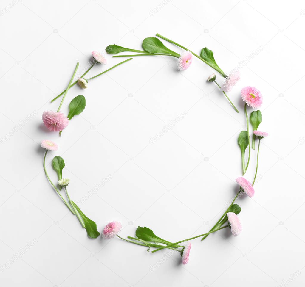 Flat lay composition with blooming daisies and space for text on white background. Spring flowers