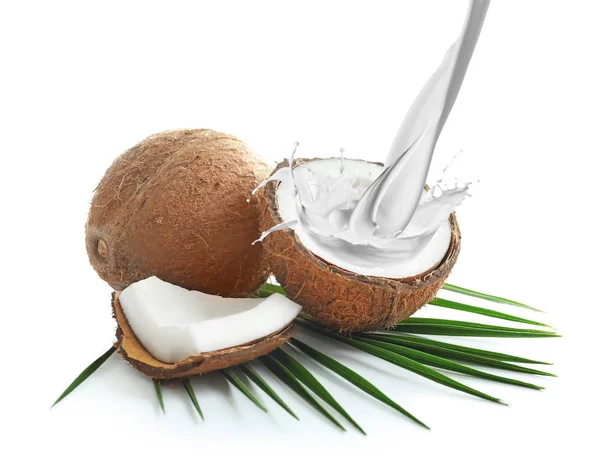 Deliciosos cocos tropicais e leite espirrando no fundo branco — Fotografia de Stock