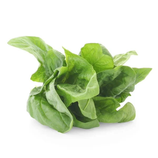 Bundle of fresh spinach isolated on white — Stock Photo, Image