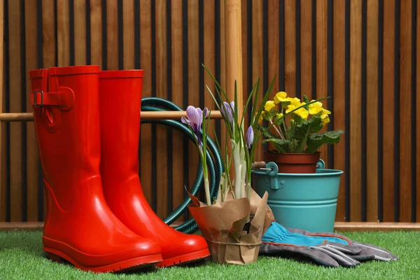 Composition with different plants and rubber boots on artificial grass at wooden wall. Spring gardening