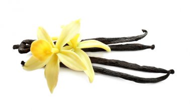 Aromatik vanilya çubukları ve beyaz arka plan üzerinde çiçekler