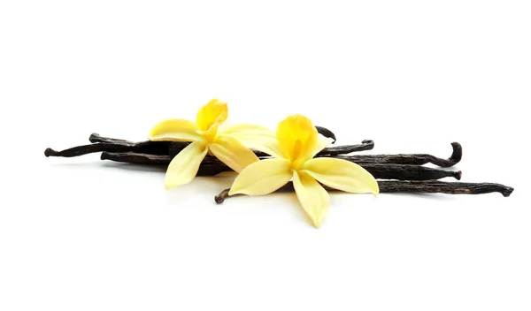 Aromatic vanilla sticks and flowers on white background — Stock Photo, Image