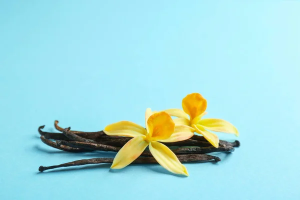 Vanilla sticks and flowers on blue background, closeup. Space for text — Stock Photo, Image