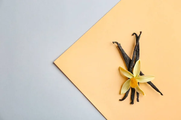 Platte lay compositie met vanille stokken en bloem op kleur achtergrond. Ruimte voor tekst — Stockfoto