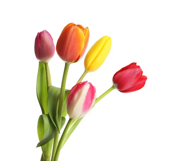 Schöne helle Tulpen auf weißem Hintergrund. Frühlingsblumen — Stockfoto