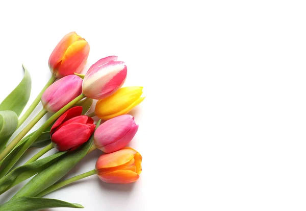 Hermosas flores de tulipán de primavera sobre fondo blanco, vista superior — Foto de Stock