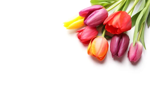 Красиві весняні квіти тюльпанів на білому тлі, вид зверху — стокове фото