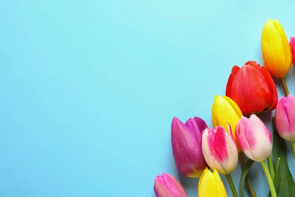 Hermosas flores de tulipán de primavera en el fondo de color, vista superior. Espacio para texto — Foto de Stock