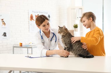 Oğlan ile onun kedi ziyaret veteriner içinde Clinic