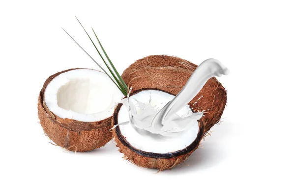 Deliziose noci di cocco tropicali e latte spruzzato su sfondo bianco — Foto Stock