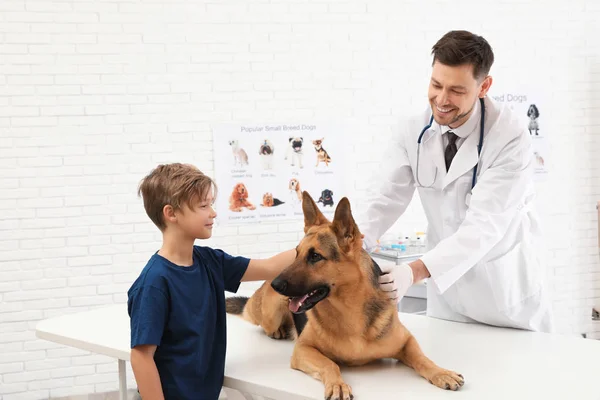 Menino com seu cão visitando veterinário na clínica — Fotografia de Stock