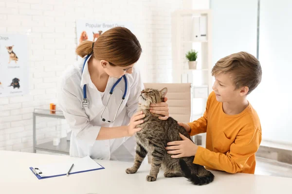 Pojke med sin katt besökande veterinär i kliniken — Stockfoto