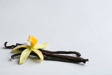 Vanilya çubukları ve açık arka plan üzerinde çiçek. Metin için alan