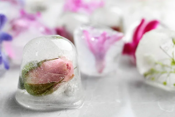 Cubos de hielo con flores sobre fondo claro, primer plano — Foto de Stock