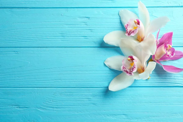 Lindas flores de orquídeas tropicais em fundo de madeira azul, flat lay. Espaço para texto — Fotografia de Stock